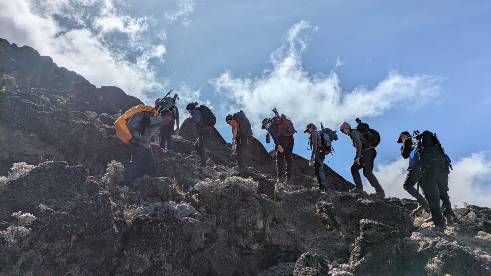 You don't know until you go